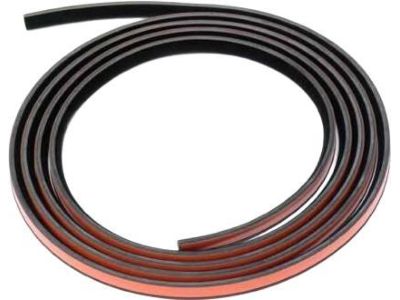 BMW 750iL Weather Strip - 54128169710