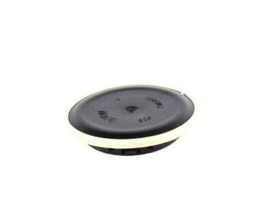 BMW 41007140847 Paint Plug With Melded Ring