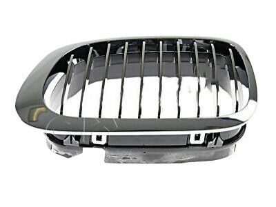 BMW 51138208685 Grille Left