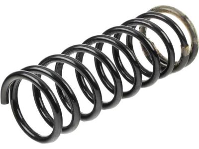 BMW M5 Coil Springs - 33531130723