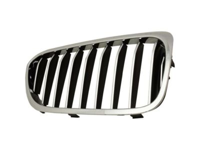 BMW 51137390866 Grille, Front, Right