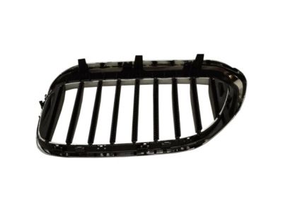 BMW 51137390866 Grille, Front, Right