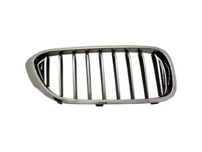 BMW 51137390866 Grille, Front, Right