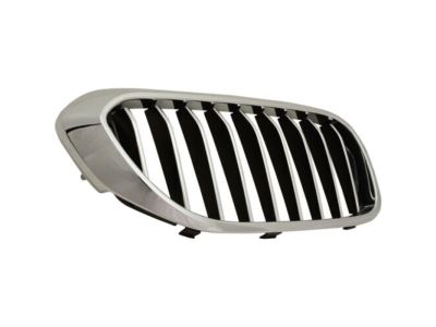 BMW 51137390866 Grille, Front, Right
