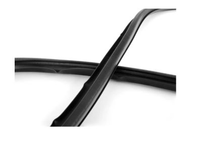 51311904395 BMW Weatherstrip Product Photo 2 of 3