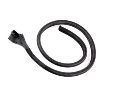 BMW 635CSi Door Seal - 51211843923