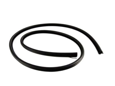 BMW 528i xDrive Door Seal - 51727122433