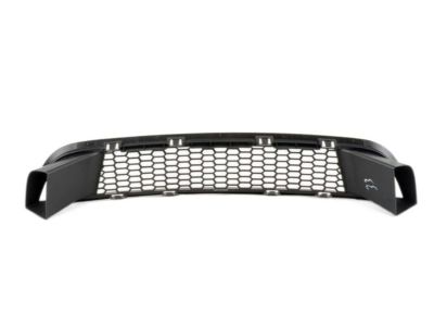 BMW 51118050345 Grille, Air Inlet, Middle