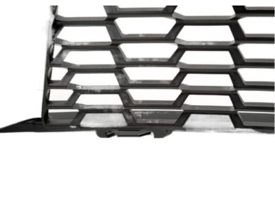 BMW 51118050345 Grille, Air Inlet, Middle