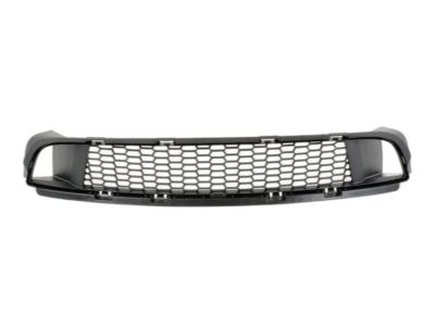 BMW 51118050345 Grille, Air Inlet, Middle