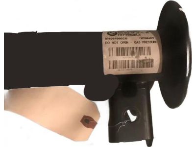 31316798151 BMW Front Left Spring Strut Product Photo 4 of 4