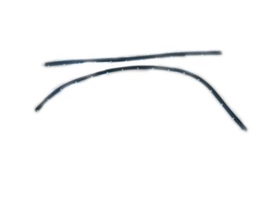BMW 528i xDrive Door Seal - 51337182283