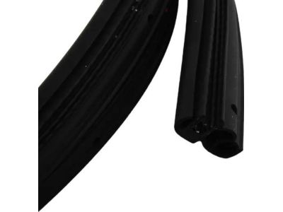51728196291 BMW Front Door Seal Product Photo 4 of 6