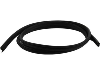 BMW 318ti Door Seal - 51728196291
