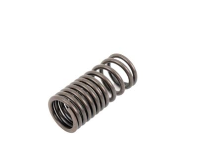 BMW 35311165566 Compression Spring