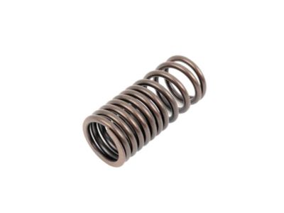 BMW 35311165566 Compression Spring