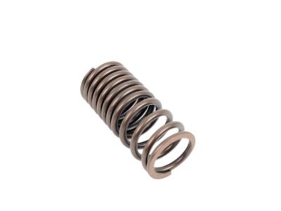 BMW 35311165566 Compression Spring