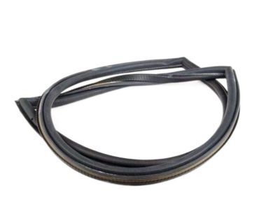 1981 BMW 320i Weather Strip - 51361827269