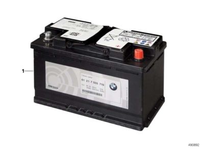 BMW 61218047221 Lithium-Ion Starter Battery