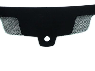 BMW 51317388744 Green Windscreen