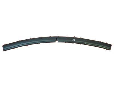 2014 BMW X1 Weather Strip - 51762991416