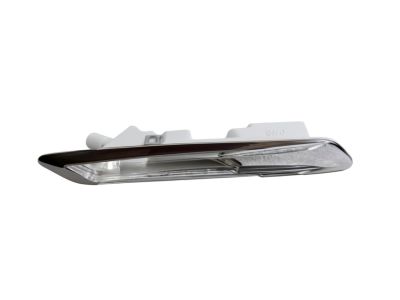 BMW 63137154167 Additional Turn Indicator Lamp, Left 63137154167 BMW Additional Turn Indicator Lamp, Left Product Photo 1 of 2