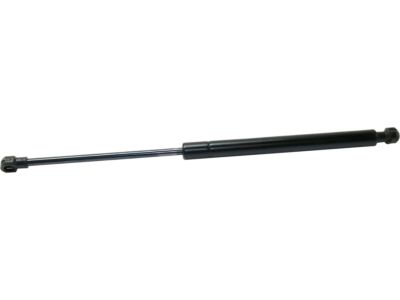 BMW M3 Lift Support - 51237900795