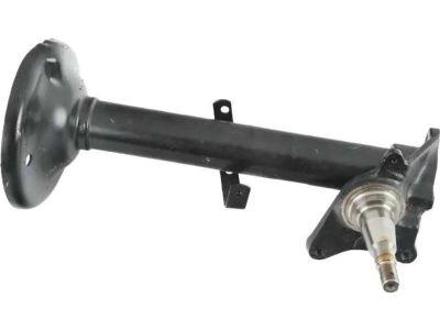 BMW 630CSi Shock Absorber - 31311116937