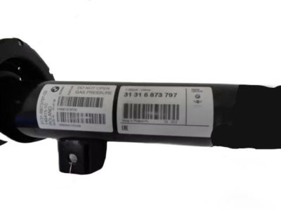 31316873769 BMW Front Left Spring Strut Product Photo 3 of 5
