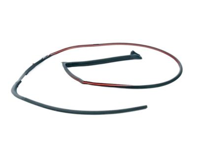 2020 BMW i8 Weather Strip - 51217312983