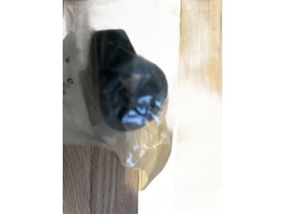 61319311353 BMW Emergency Start Coil Product Photo 2 of 5