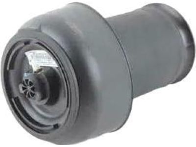 37126795013 BMW Rear Pneumatic Spring Product Photo 3 of 3