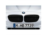 BMW 51712352807 M Performance Black Kidney Grille/Right