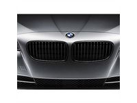 BMW 51712165528 High Gloss Kidney Grille/Right