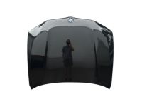 BMW 41008499153 Hood BMW 41008499153 Hood