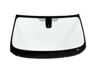 BMW 51317203145 Green Windscreen