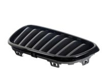 BMW 51712336815 Passenger Side Kidney Grille
