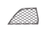BMW 51113416207 Open Grid, Left BMW 51113416207 Open Grid, Left