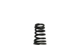 BMW 11347504268 Valve Spring
