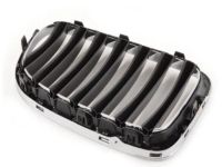 BMW 51112993305 Grille, Front, Left BMW 51112993305 Grille, Front, Left