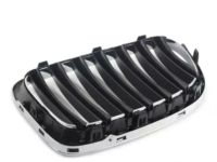 BMW 51112993306 Grille, Front, Right BMW 51112993306 Grille, Front, Right