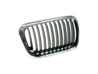 BMW 51138195152 Grille Right