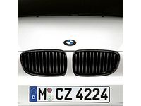 BMW 51712155450 Performance Black Kidney Grille/Right