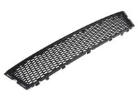 BMW 51117227889 Grid, Centre