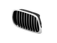 BMW 51132497262 Grille Right