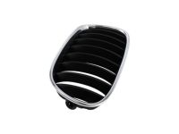 BMW 51137181547 Grille Left BMW 51137181547 Grille Left