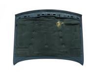 BMW 41611944944 Engine Hood For Narrow Kidney Grille BMW 41611944944 Engine Hood For Narrow Kidney Grille