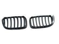 BMW 51137367421 Grille, Front, Left