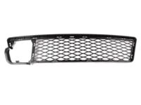 BMW 51117175016 Grid, Centre Open