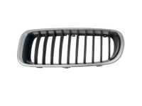 BMW 51137255411 Grille, Front, Left